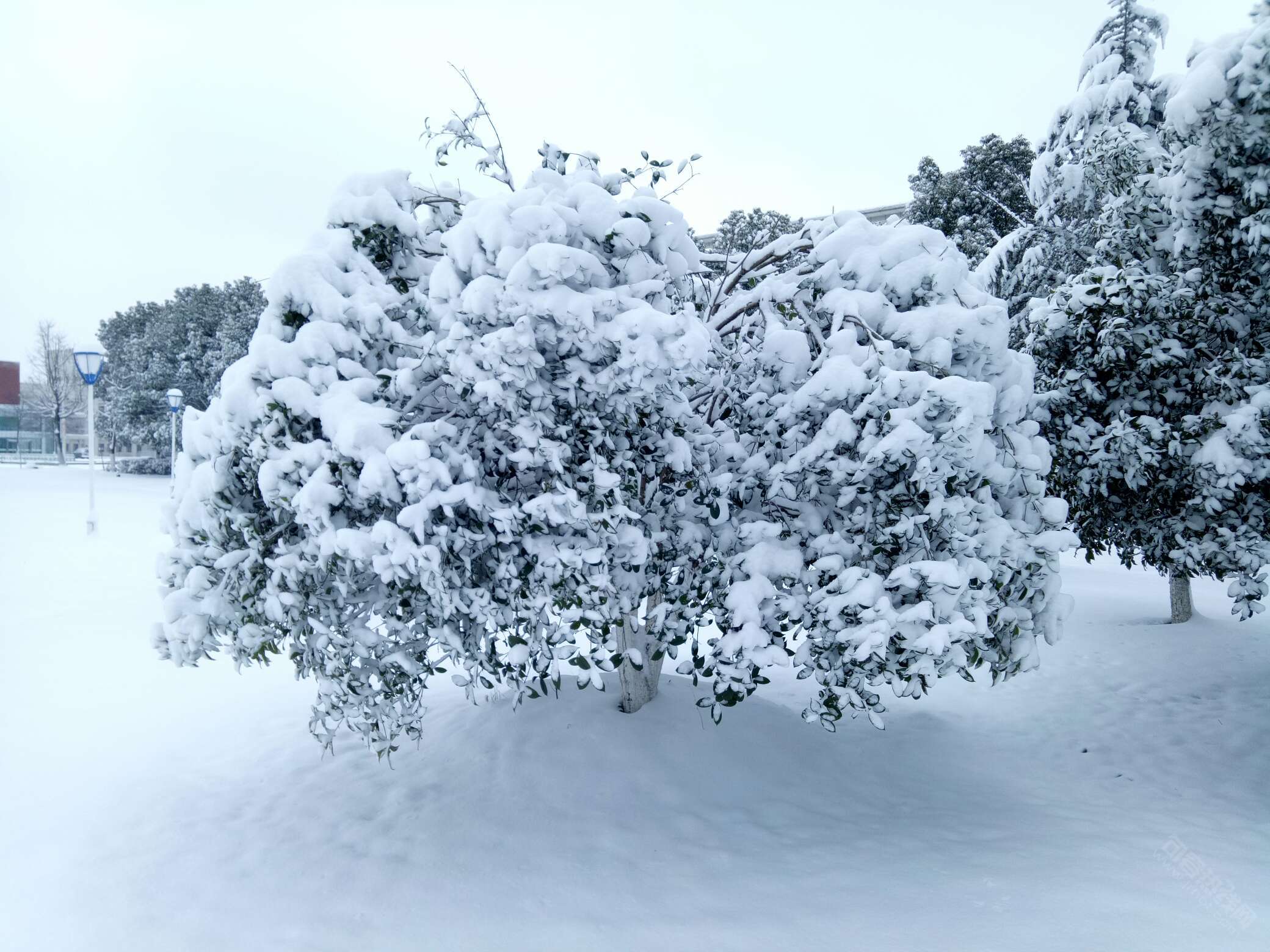 农校最美时-今日句容 - powered by discuz!