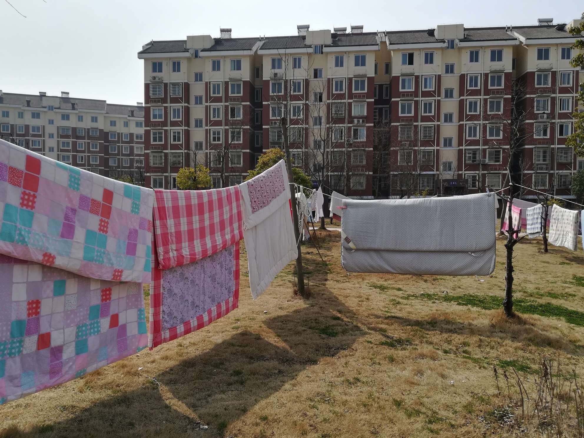 大家一起晒被子喽!-今日句容 - powered by discuz!