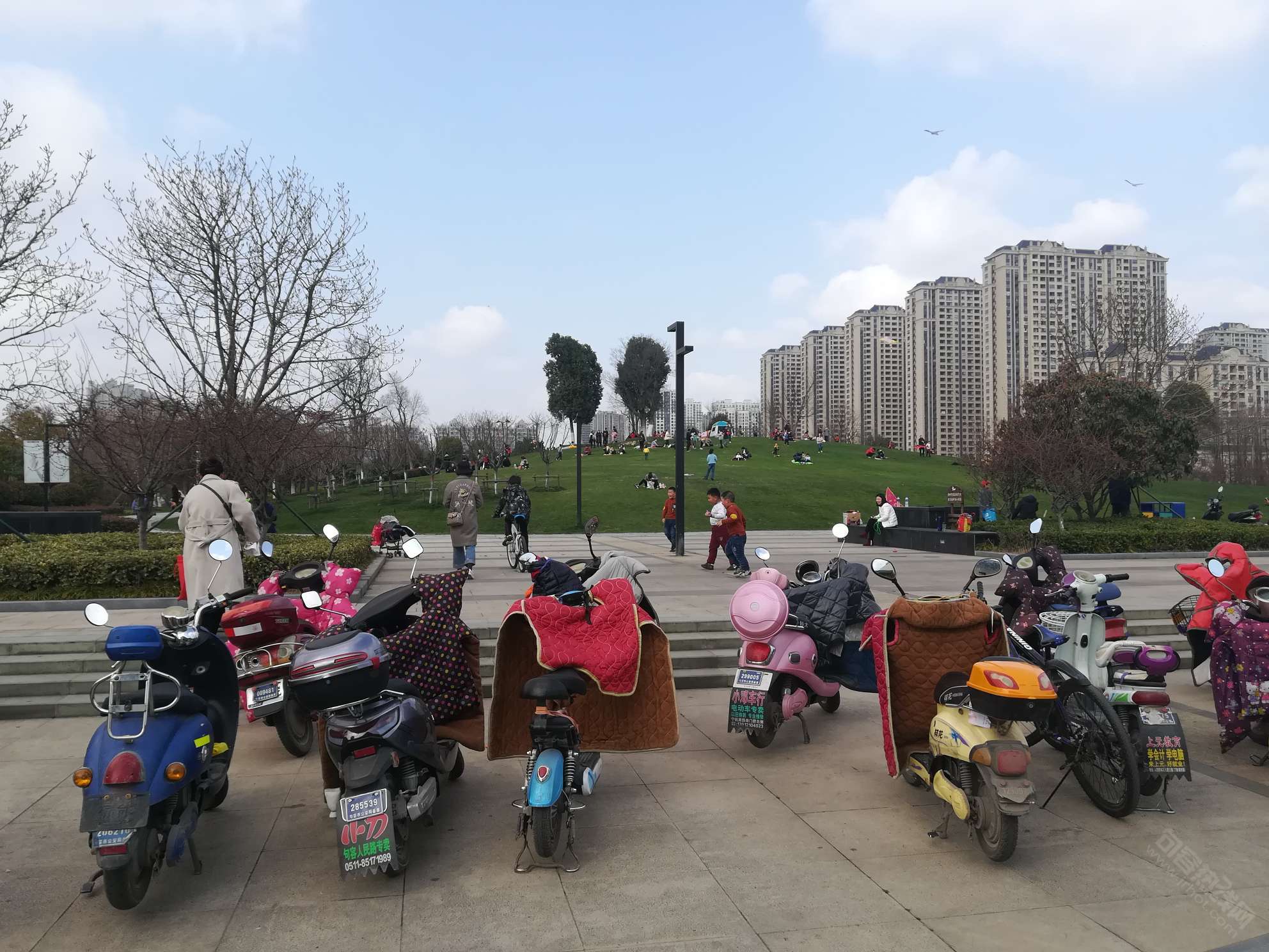 崇明公园真热闹!