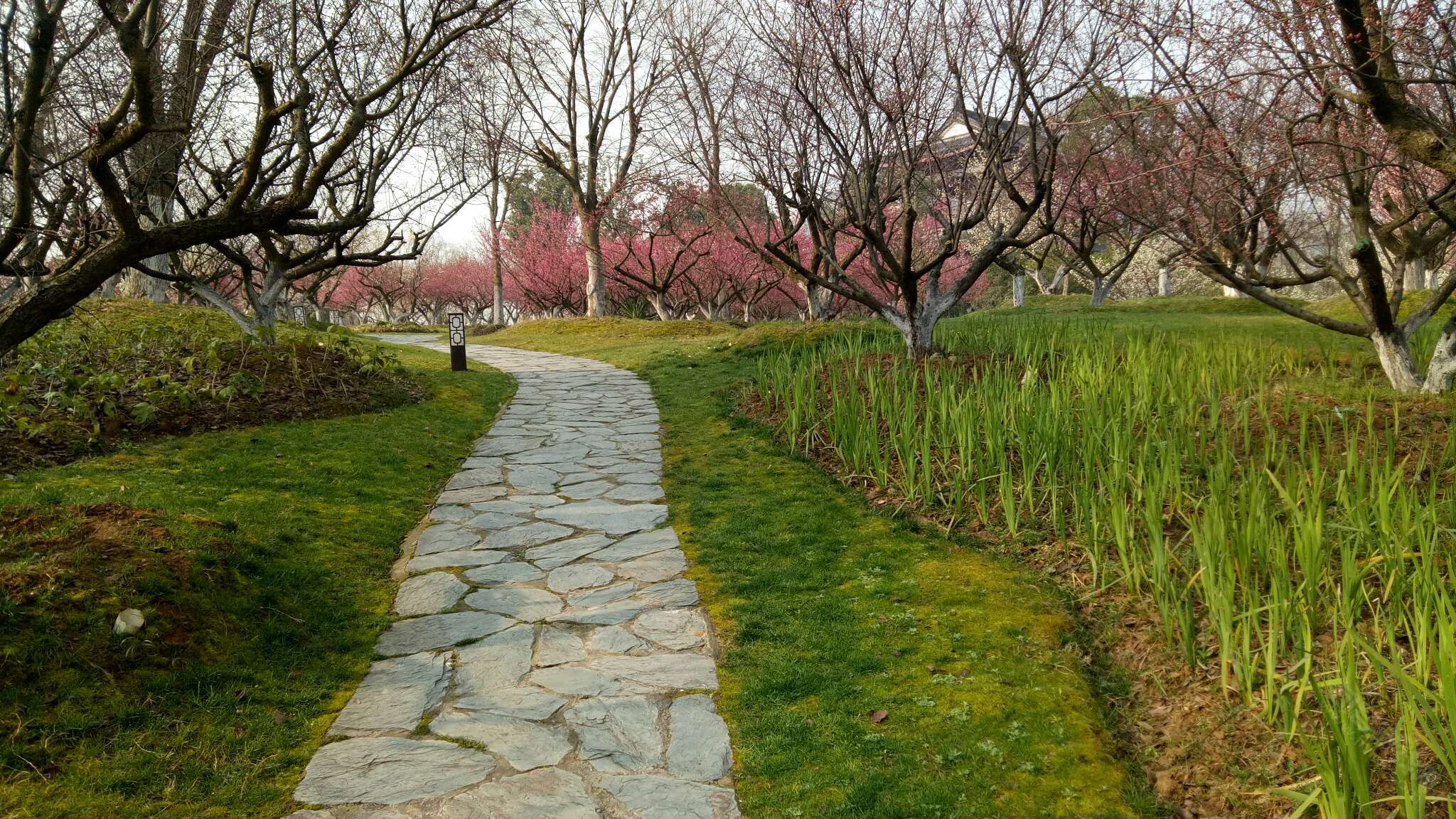 句容梅花山"贾纪山"公园