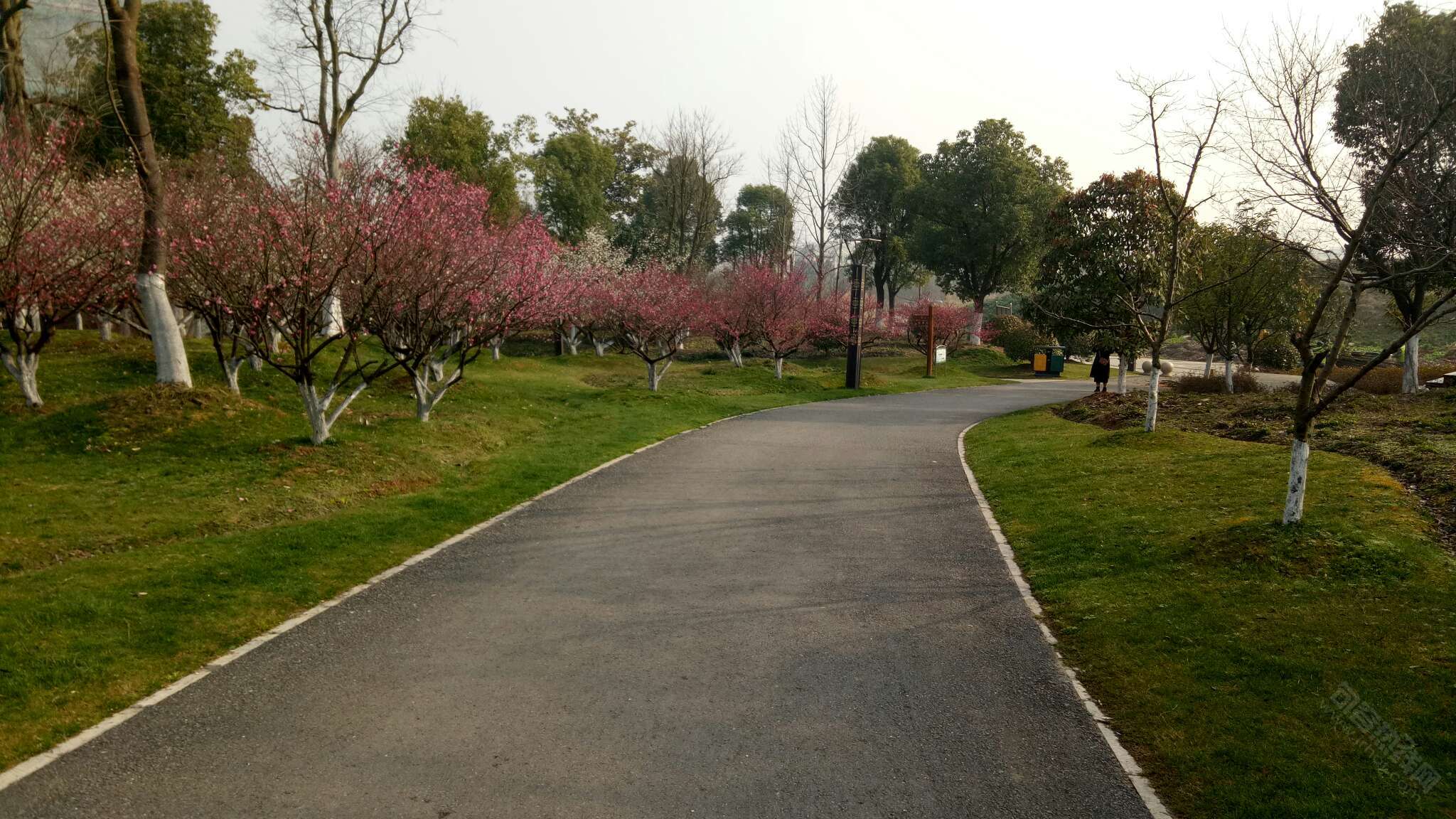 句容梅花山"贾纪山"公园