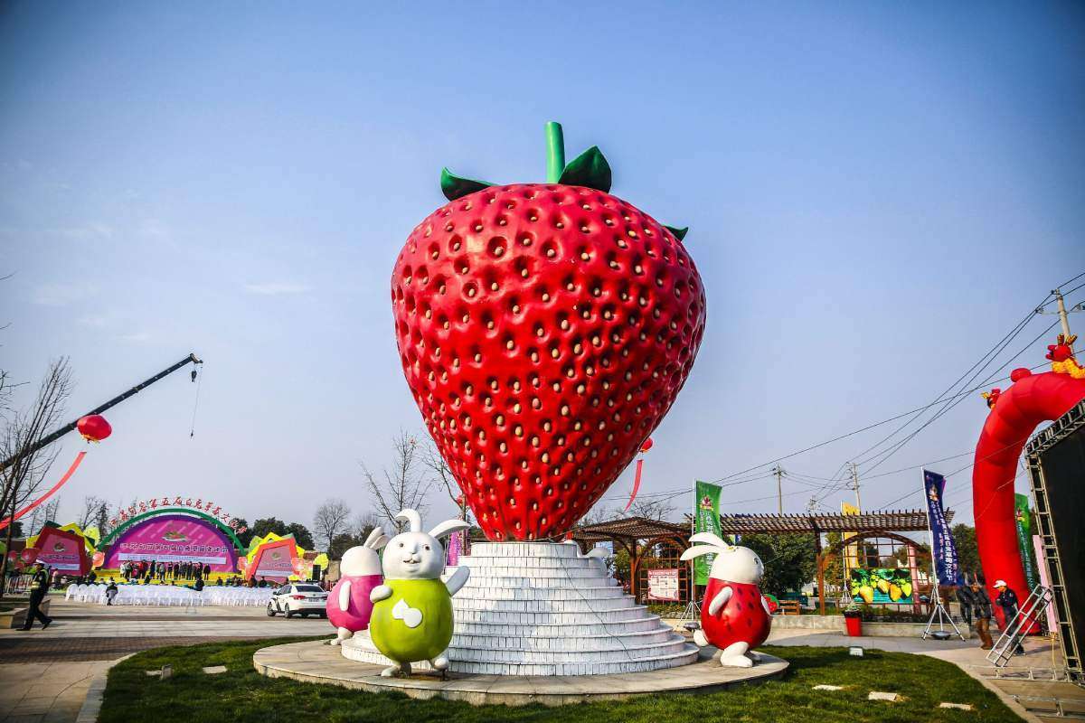 句容白兔第五届草莓文化节来一波图片