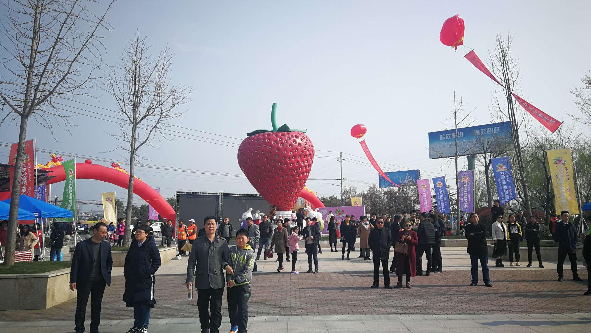 句容白兔第五届草莓文化节来一波图片