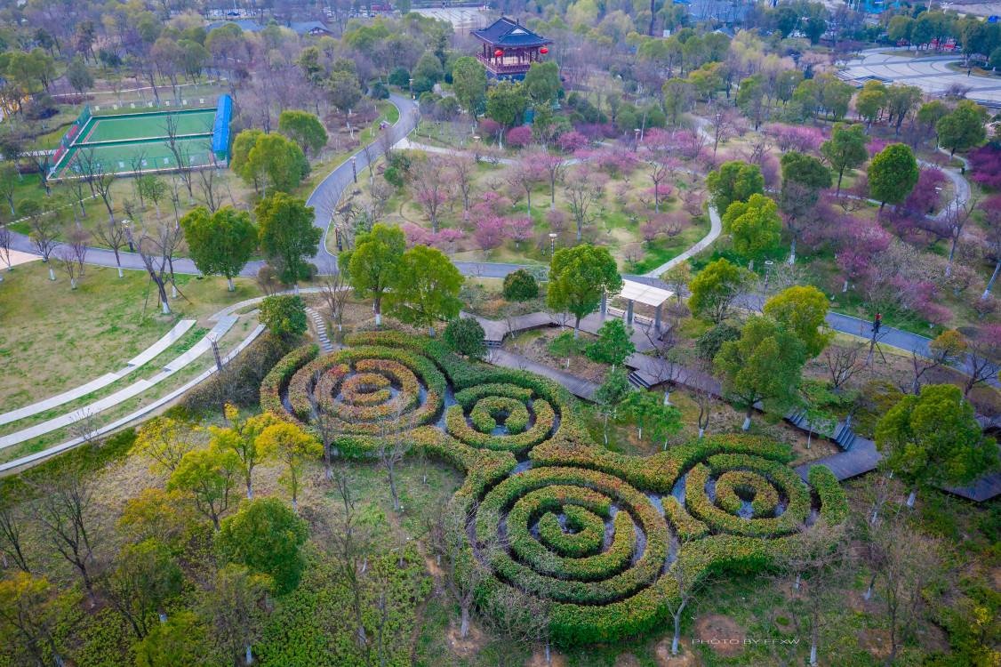 贾纪山公园春暖花开,梅花竞相开放!(优酷视频)