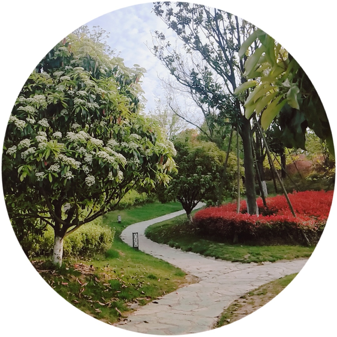 贾纪山公园-今日句容 - powered by discuz!