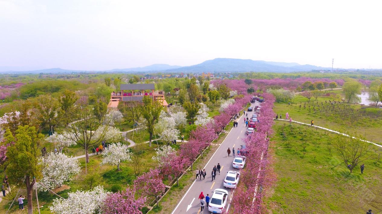 "四月春风十里·我在镇江等你"系列报道之"句容天王"篇