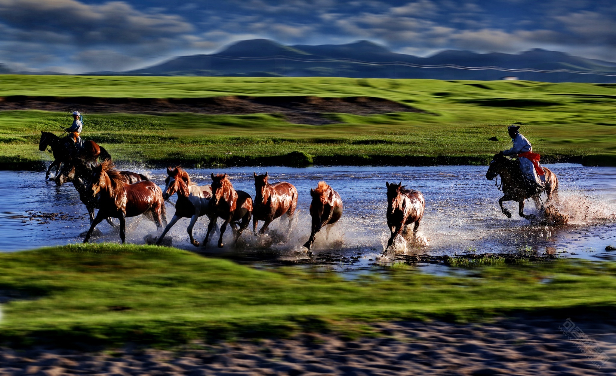 [抖音里的故事]自命不凡眼高手低的千里马