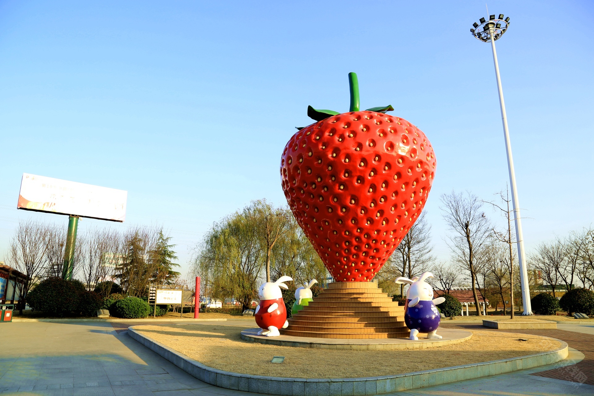 句容白兔草莓熟了