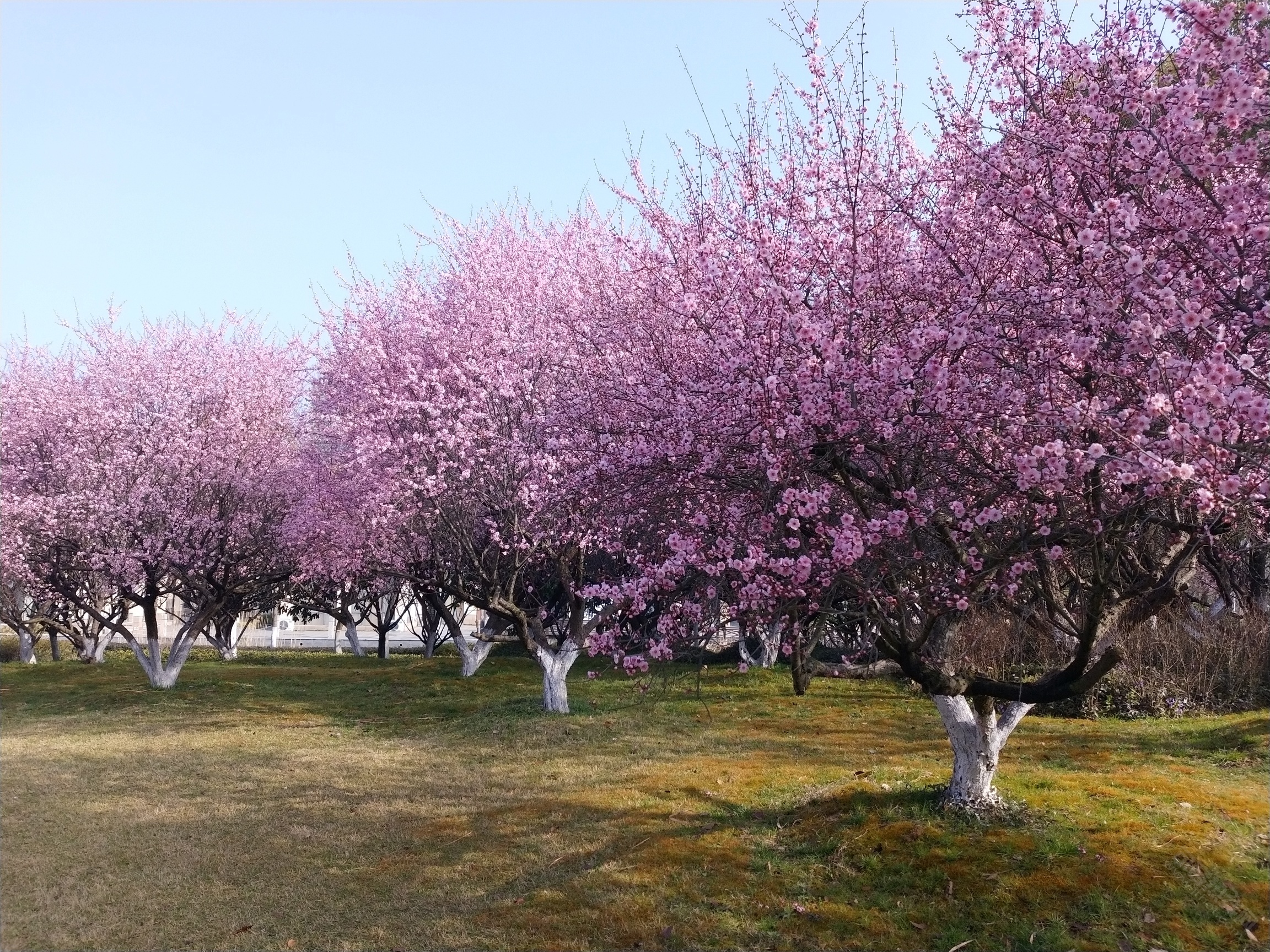 贾纪山公园-今日句容 - powered by discuz!