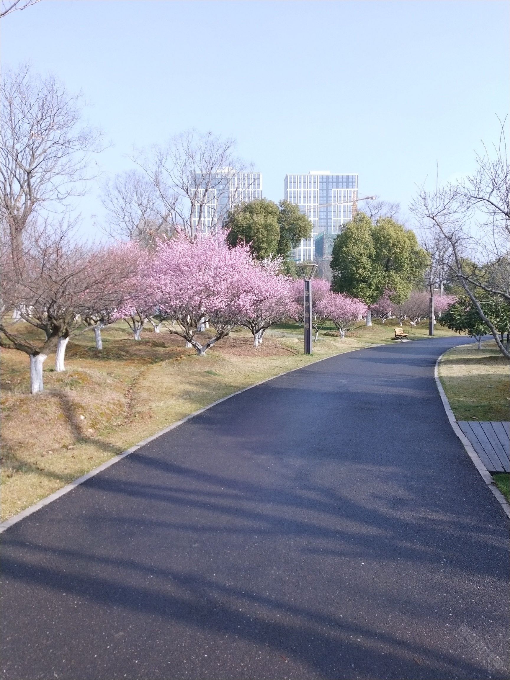 贾纪山公园-今日句容 - powered by discuz!