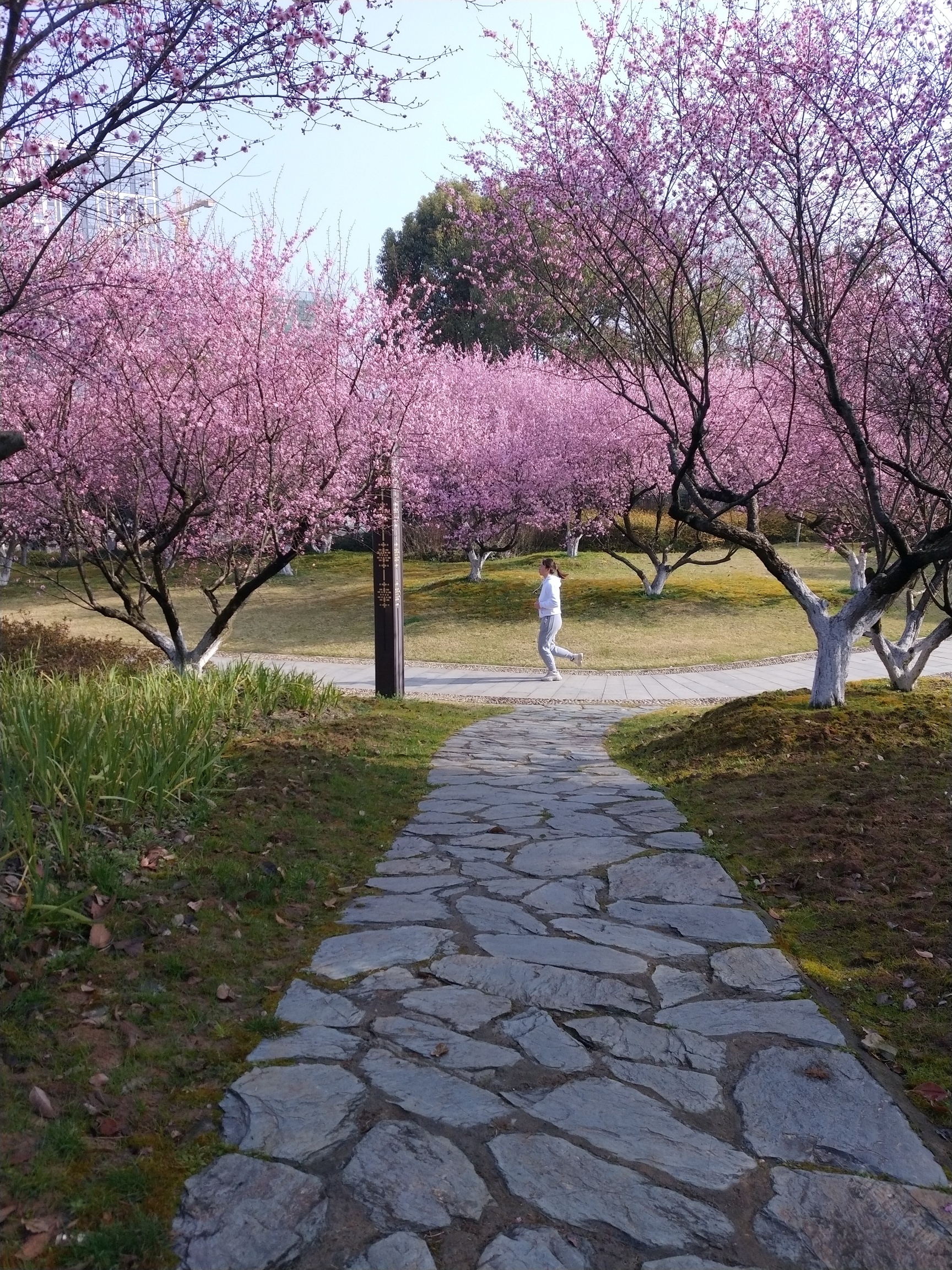 贾纪山公园-今日句容 - powered by discuz!