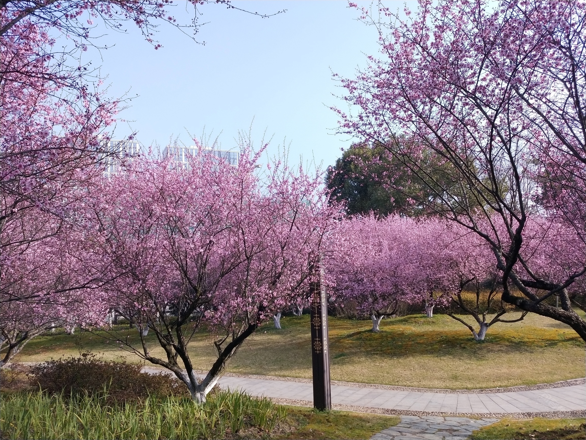 贾纪山公园-今日句容 - powered by discuz!